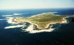 Spearfishing Dassen Island [Video]